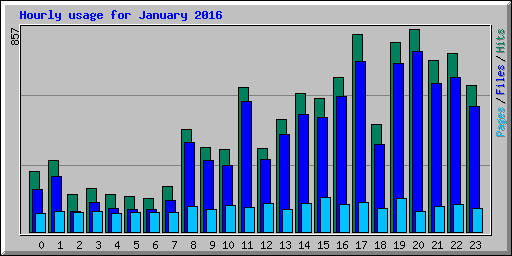 Hourly usage for January 2016